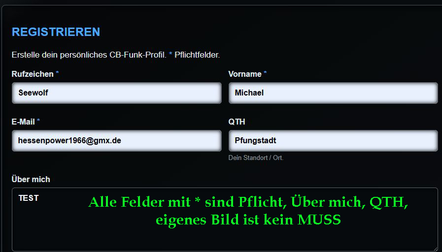 DEIN PROFIL – Daten eingeben